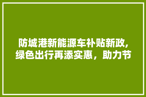 防城港新能源车补贴新政,绿色出行再添实惠，助力节能减排新篇章