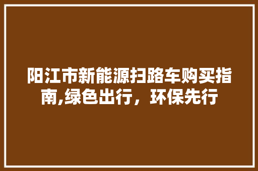 阳江市新能源扫路车购买指南,绿色出行，环保先行