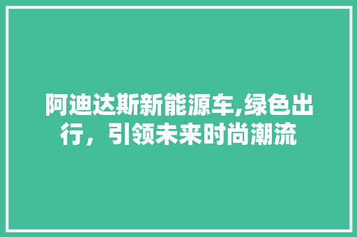 阿迪达斯新能源车,绿色出行，引领未来时尚潮流