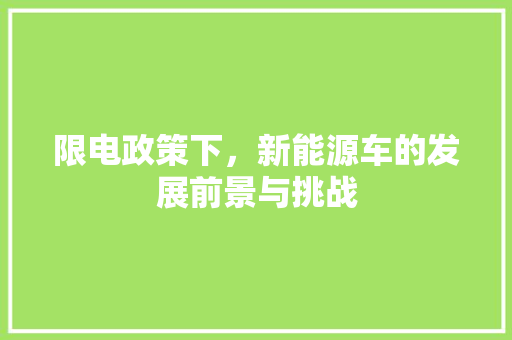 限电政策下，新能源车的发展前景与挑战 自动驾驶