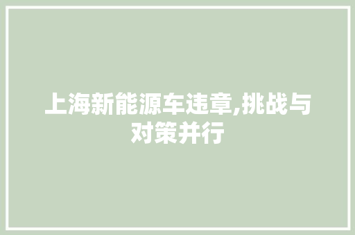 上海新能源车违章,挑战与对策并行