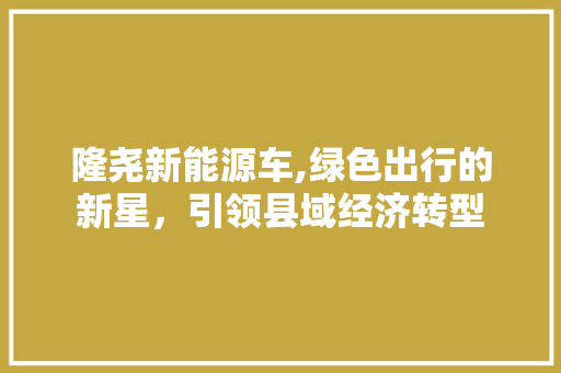 隆尧新能源车,绿色出行的新星，引领县域经济转型