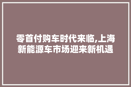 零首付购车时代来临,上海新能源车市场迎来新机遇