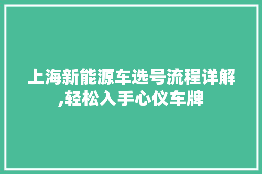 上海新能源车选号流程详解,轻松入手心仪车牌 汽车保养