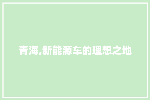 青海,新能源车的理想之地