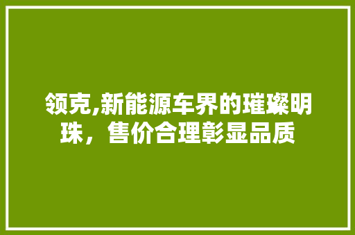 领克,新能源车界的璀璨明珠，售价合理彰显品质