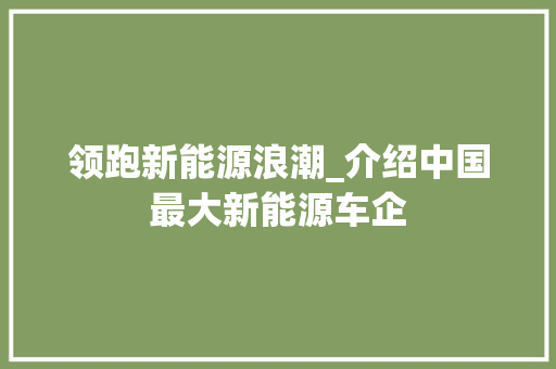 领跑新能源浪潮_介绍中国最大新能源车企
