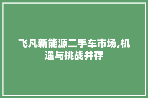 飞凡新能源二手车市场,机遇与挑战并存 新车资讯