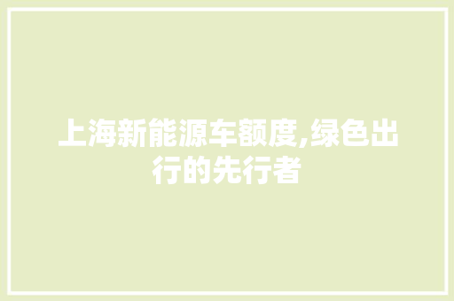 上海新能源车额度,绿色出行的先行者