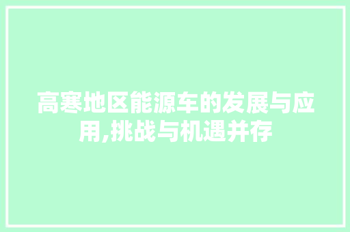 高寒地区能源车的发展与应用,挑战与机遇并存 新能源汽车