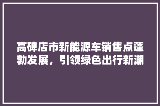 高碑店市新能源车销售点蓬勃发展，引领绿色出行新潮流