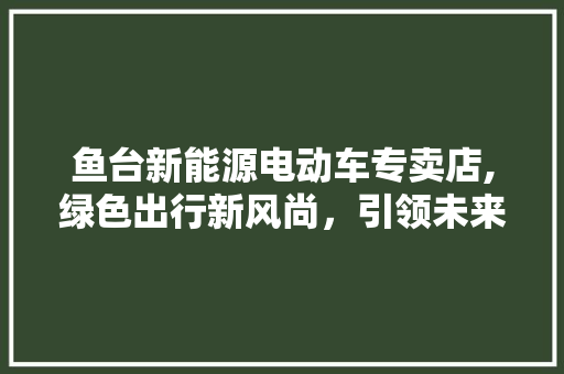 鱼台新能源电动车专卖店,绿色出行新风尚，引领未来出行潮流
