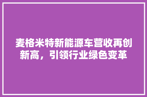 麦格米特新能源车营收再创新高，引领行业绿色变革