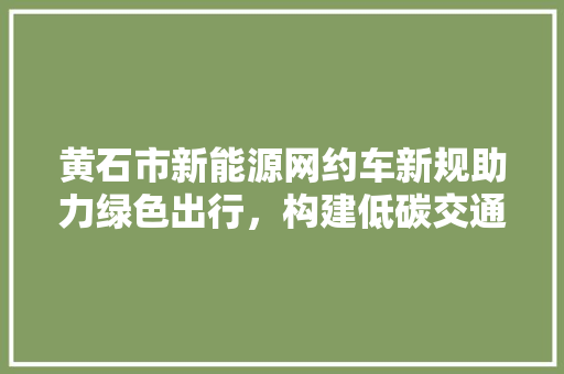 黄石市新能源网约车新规助力绿色出行，构建低碳交通新格局