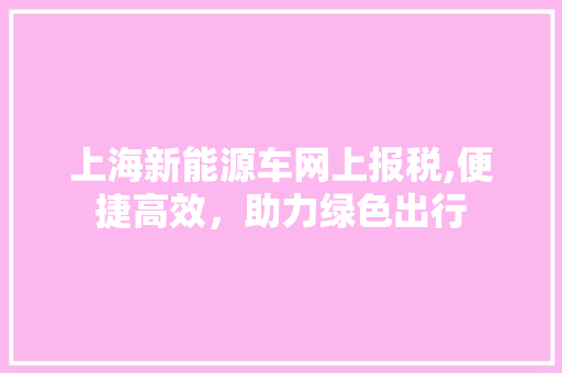 上海新能源车网上报税,便捷高效，助力绿色出行