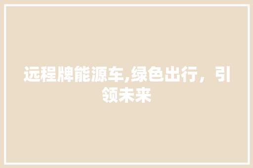 远程牌能源车,绿色出行，引领未来