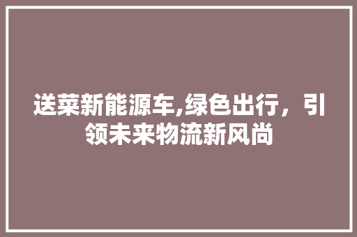 送菜新能源车,绿色出行，引领未来物流新风尚 新能源汽车