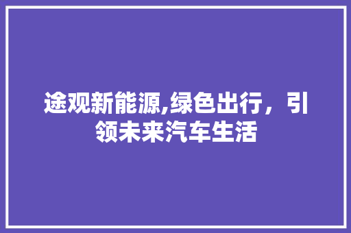 途观新能源,绿色出行，引领未来汽车生活