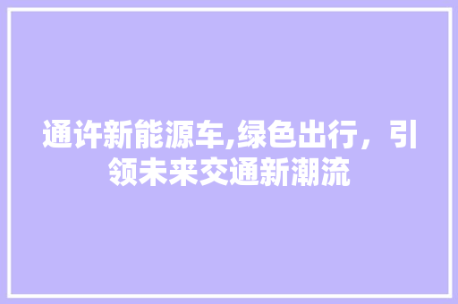 通许新能源车,绿色出行，引领未来交通新潮流 汽车配件
