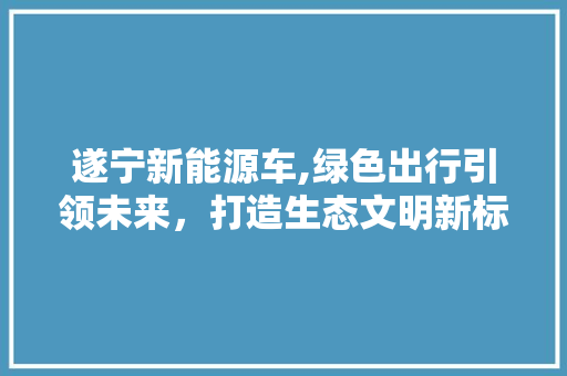 遂宁新能源车,绿色出行引领未来，打造生态文明新标杆