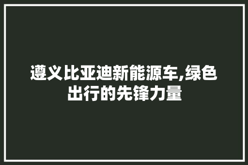 遵义比亚迪新能源车,绿色出行的先锋力量