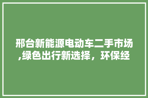 邢台新能源电动车二手市场,绿色出行新选择，环保经济两不误