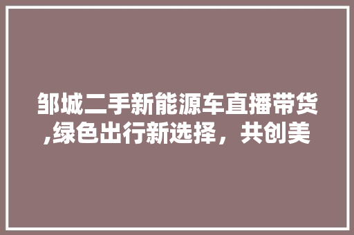 邹城二手新能源车直播带货,绿色出行新选择，共创美好未来 自动驾驶