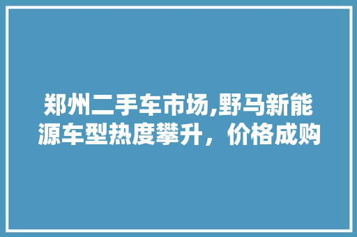 郑州二手车市场,野马新能源车型热度攀升，价格成购车新焦点