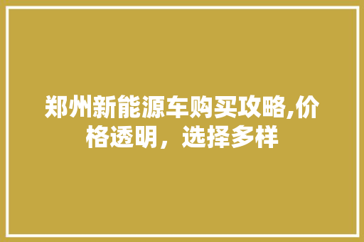 郑州新能源车购买攻略,价格透明，选择多样