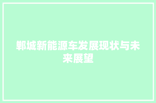 郸城新能源车发展现状与未来展望