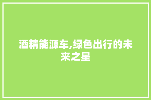 酒精能源车,绿色出行的未来之星