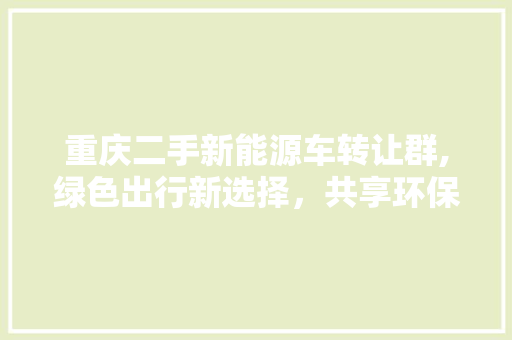 重庆二手新能源车转让群,绿色出行新选择，共享环保未来 车联网技术