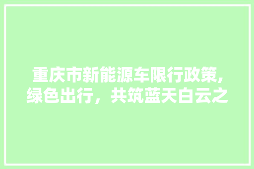 重庆市新能源车限行政策,绿色出行，共筑蓝天白云之城