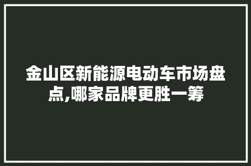 金山区新能源电动车市场盘点,哪家品牌更胜一筹