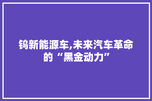 钨新能源车,未来汽车革命的“黑金动力”