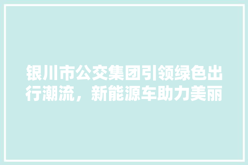 银川市公交集团引领绿色出行潮流，新能源车助力美丽银川建设