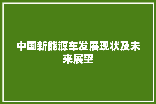 中国新能源车发展现状及未来展望