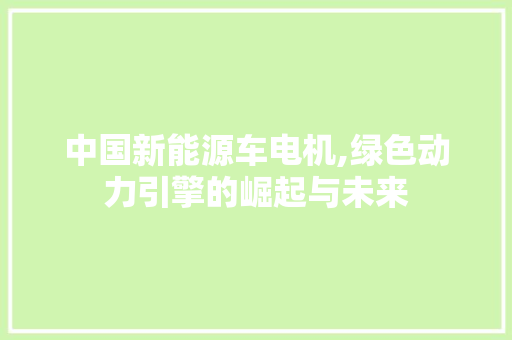 中国新能源车电机,绿色动力引擎的崛起与未来