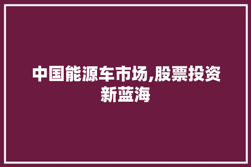 中国能源车市场,股票投资新蓝海 车载导航