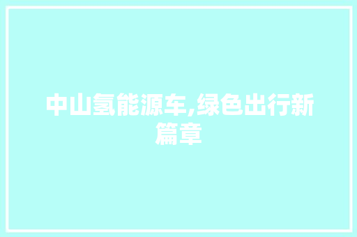 中山氢能源车,绿色出行新篇章