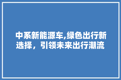 中系新能源车,绿色出行新选择，引领未来出行潮流