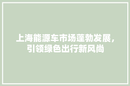 上海能源车市场蓬勃发展，引领绿色出行新风尚