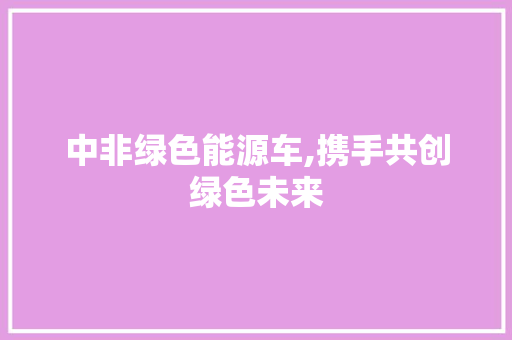 中非绿色能源车,携手共创绿色未来 车联网技术