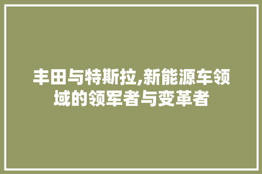 丰田与特斯拉,新能源车领域的领军者与变革者
