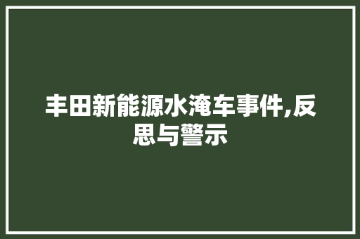 丰田新能源水淹车事件,反思与警示