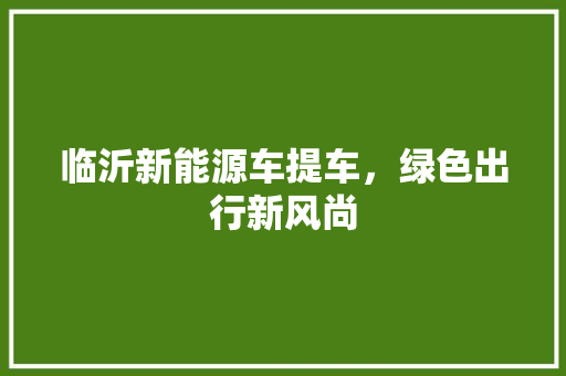 临沂新能源车提车，绿色出行新风尚