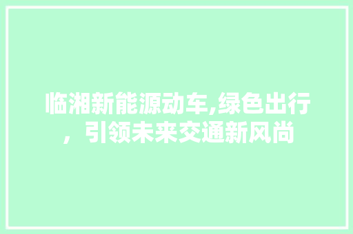 临湘新能源动车,绿色出行，引领未来交通新风尚