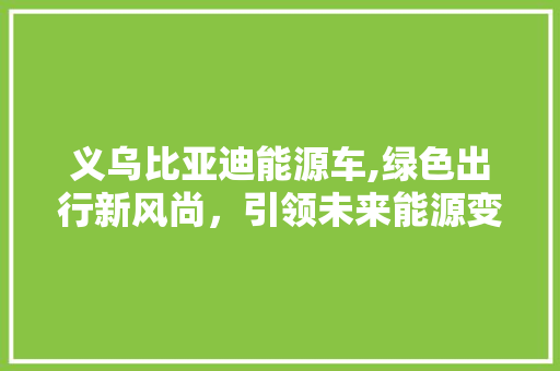 义乌比亚迪能源车,绿色出行新风尚，引领未来能源变革