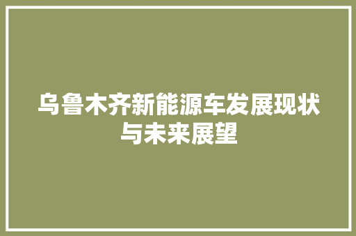 乌鲁木齐新能源车发展现状与未来展望