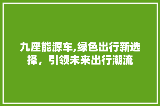 九座能源车,绿色出行新选择，引领未来出行潮流 车载导航